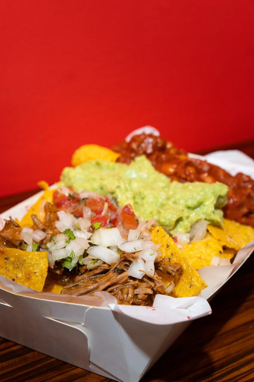 Nachos con Birria